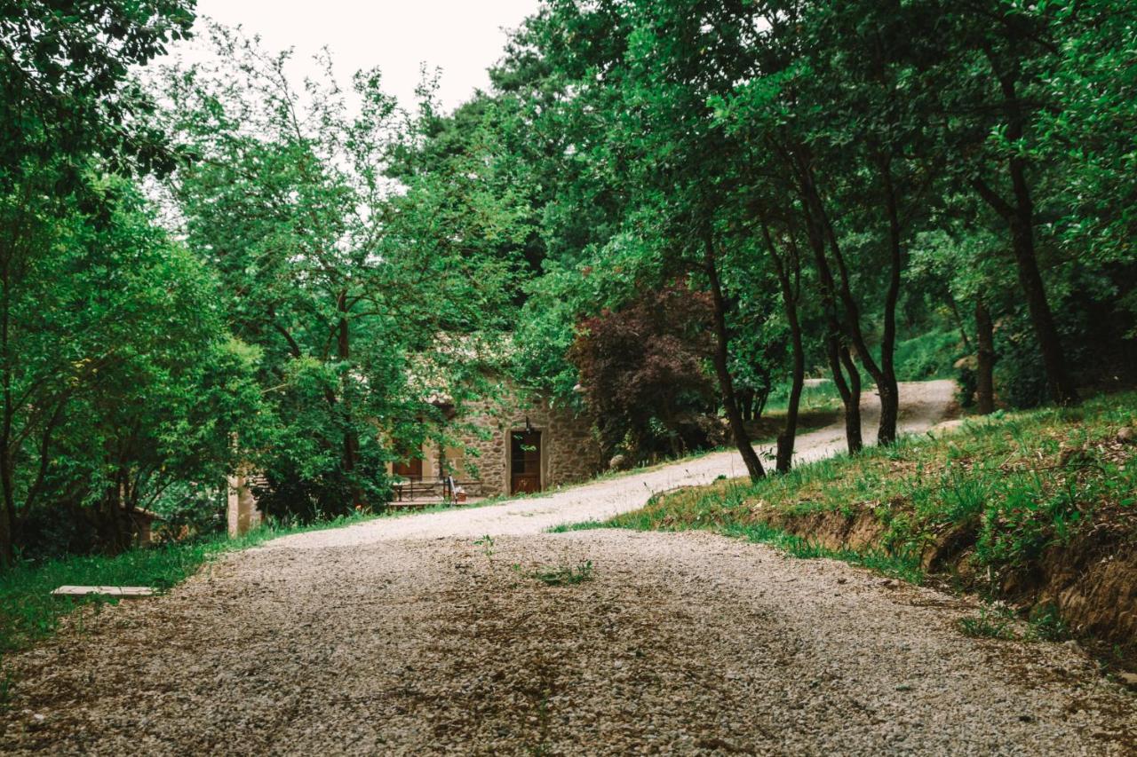 Parulia Country House Arezzo Eksteriør bilde