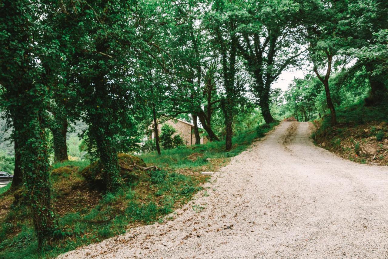 Parulia Country House Arezzo Eksteriør bilde
