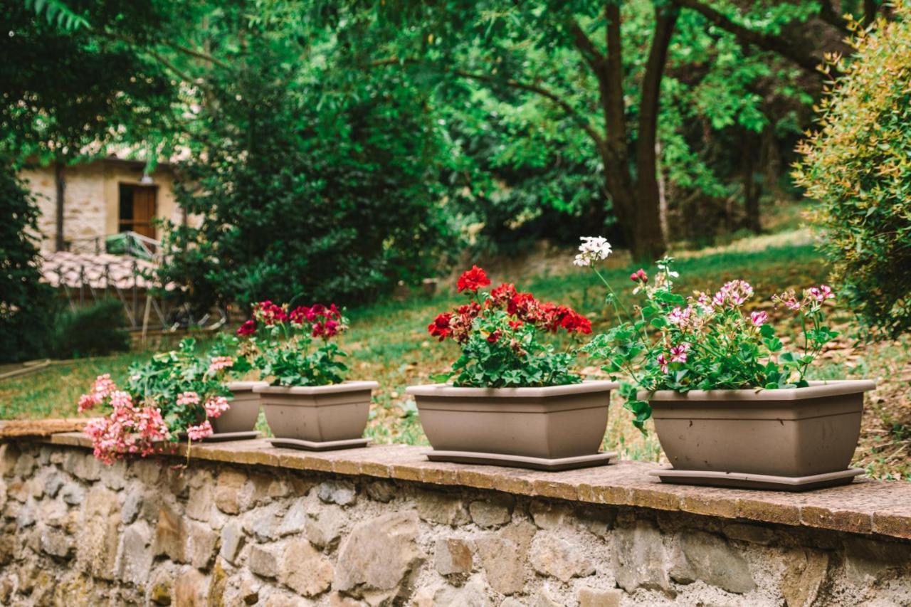 Parulia Country House Arezzo Eksteriør bilde